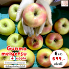 Gunma meigetsu apple size 28 ชุด 6 ผล