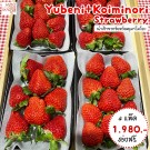Koiminori 2 แพ็ก + Yubeni 2 แพ็ก