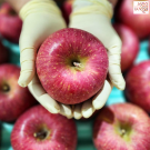 Sun fuji apple size 28