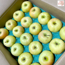 Toki apple size 40 ชุด 20 ผล