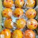 Fuyu Persimmon size 36