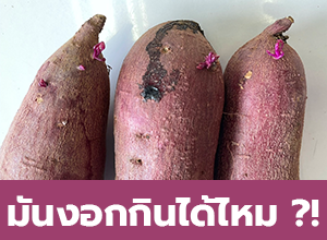 มันงอกกินได้ไหม ?!