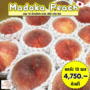 Madoka Peach size13 ยกลัง 13 ผล