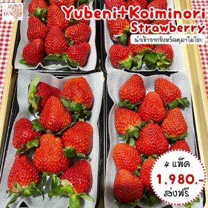 Koiminori  2 แพ็ก + Yubeni 2 แพ็ก