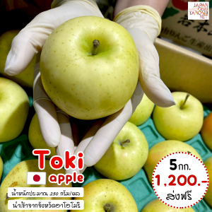 Toki apple size 40 ชุด 5 กก.