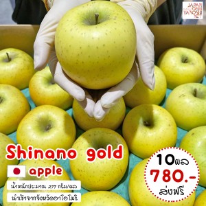 Shinano gold apple size 36 ชุด 10 ผล