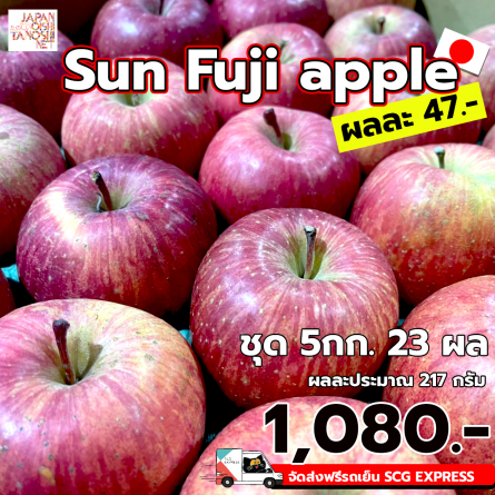 Sun fuji apple size 46 ชุด 5 กก.
