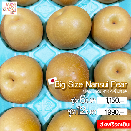 Nansui pear size 12
