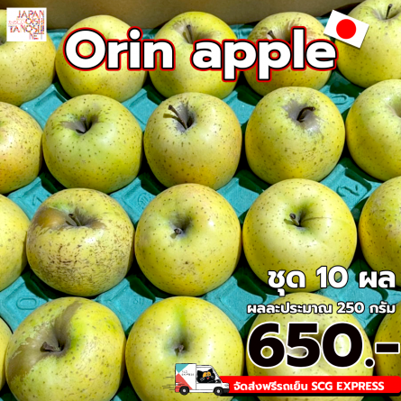 Orin apple size 40 ชุด 10 ผล