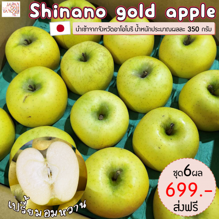 Apple shinano gold apple size 28 ชุด 6 ผล