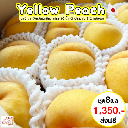 Yellow peach size 16 ชุด 8 ผล