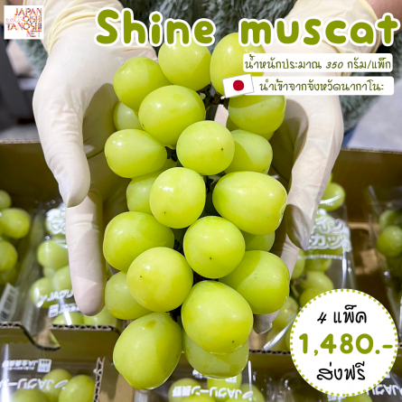 Shine muscat size 10 ชุด 4 แพ็ก