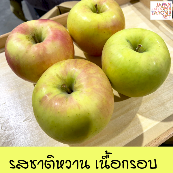 Gunma meigetsu apple size 28 ชุด 6 ผล