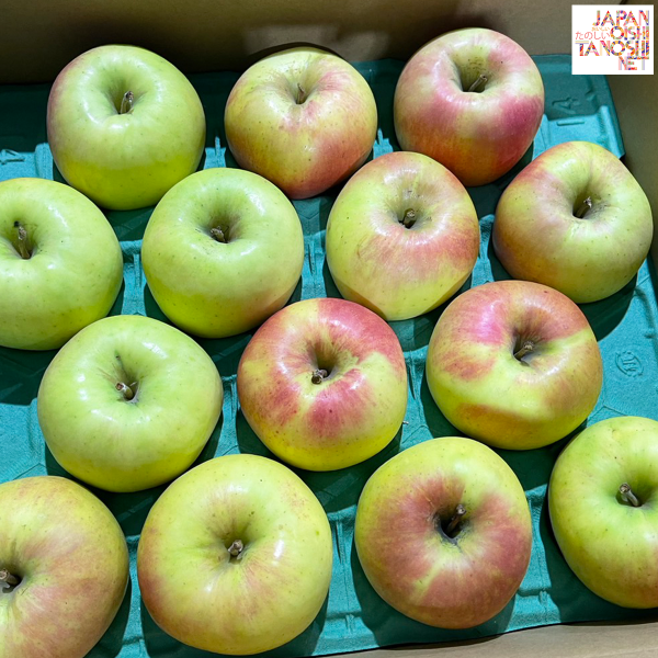 Gunma meigetsu apple size 28 ชุด 6 ผล