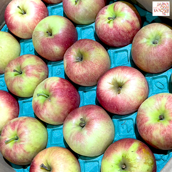 Sun jona apple size 40 ชุด 20 ผล