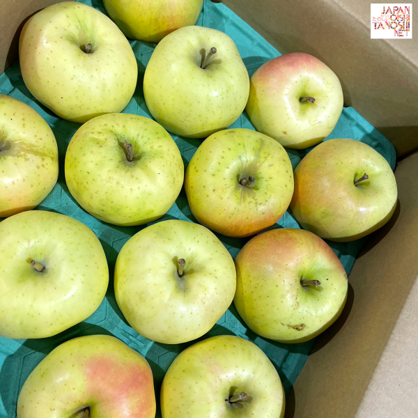 Toki apple size 28 ชุด 6 ผล