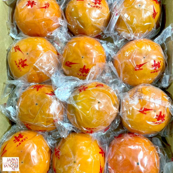 Fuyu Persimmon size 36