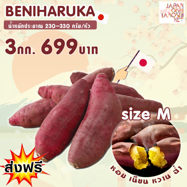 Beniharuka size M 3 กิโลกรัม