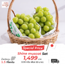 Shine Muscat Big size