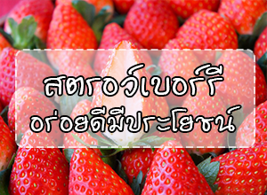 สตรอว์เบอร์รีอร่อยดีมีประโยชน์