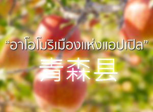 อาโอโมริเมืองแห่งแอปเปิล