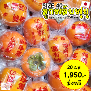 Fuyu Persimmon size 40 ชุด 20 ผล