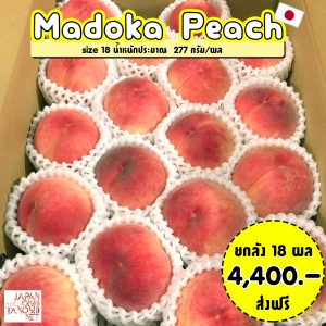 Madoka Peach size18 ยกลัง 18 ผล