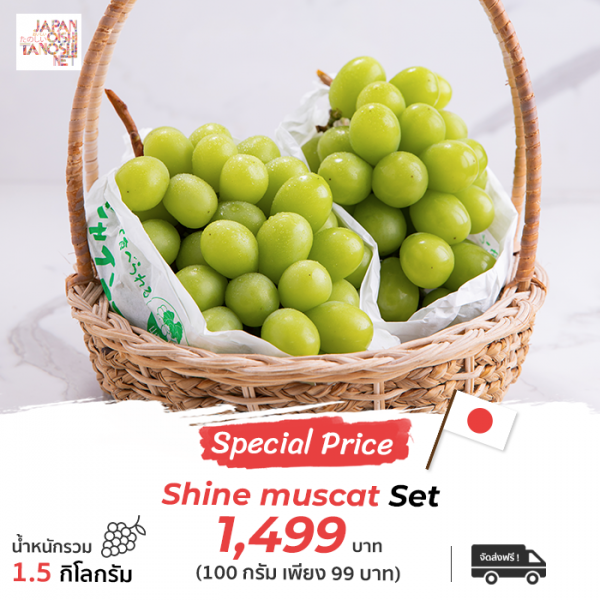 Shine Muscat Big size
